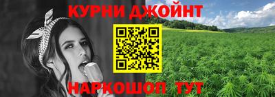 индика Донской