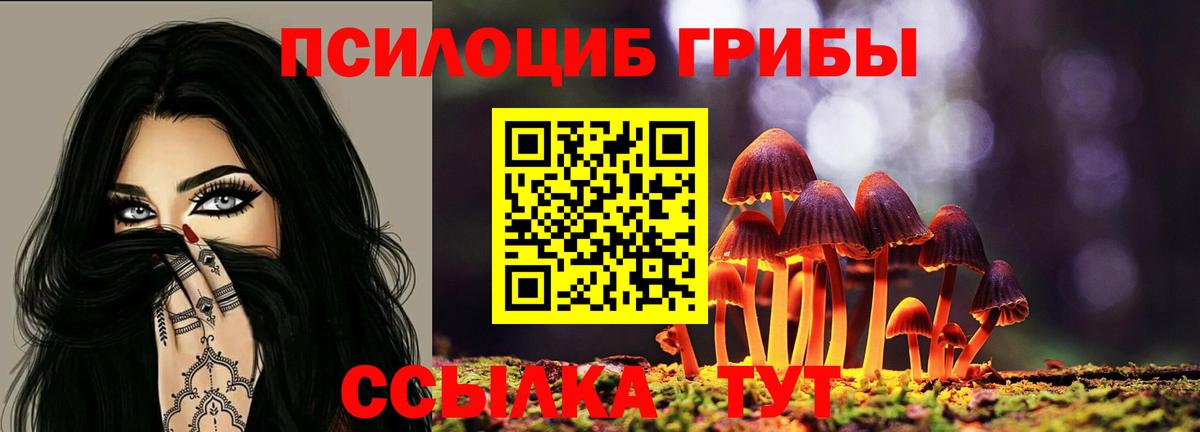 Псилоцибиновые грибы прущие грибы  Псилоцибиновые грибы мицелий  Вход с VPN  Мурманск 